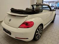 Вид сзади справа