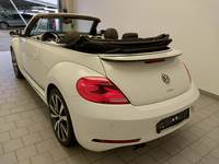 Вид сзади слева