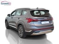 Вид сзади слева