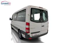 Pogled od pozadi levo