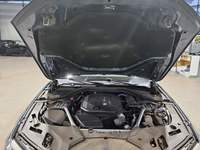 Szczegółowe zdjęcie