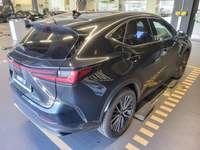 Pogled od pozadi desno