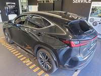 Pogled od pozadi levo