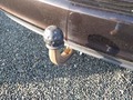 View of trailer tow-bar hitch