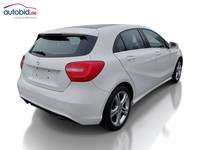 Vista traseira direita