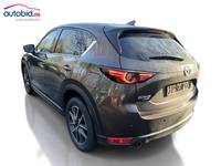 Ansicht hinten links