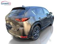 Ansicht hinten rechts