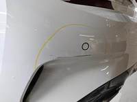 Задний центральный амортизатор