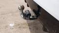 View of trailer tow-bar hitch