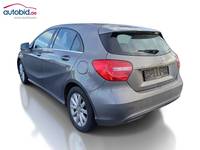 Ansicht hinten links