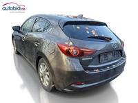 Ansicht hinten links