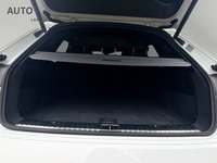 Szczegółowe zdjęcie