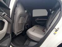 Szczegółowe zdjęcie