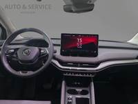 Szczegółowe zdjęcie