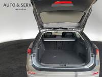 Szczegółowe zdjęcie