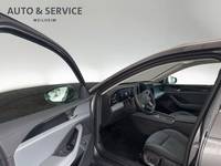 Szczegółowe zdjęcie