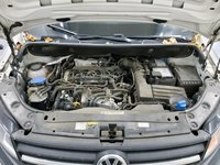 Szczegółowe zdjęcie