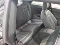 Szczegółowe zdjęcie