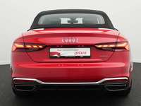 Szczegółowe zdjęcie