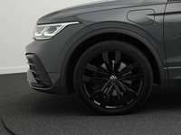 Szczegółowe zdjęcie