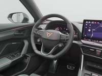 Szczegółowe zdjęcie