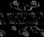 Podrobna fotografija