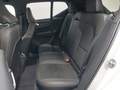 View of rear seat