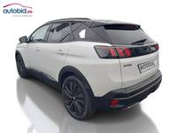 Ansicht hinten links