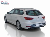 Vedere spate stânga