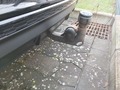 View of trailer tow-bar hitch