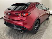 Ansicht hinten rechts