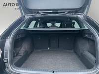 Fotografie de detaliu