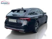 Vedere spate dreapta