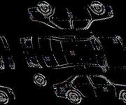 Podrobna fotografija