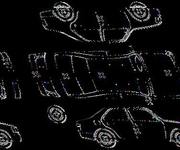 Podrobna fotografija