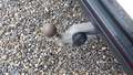 View of trailer tow-bar hitch