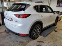 Ansicht hinten rechts