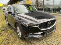 Vaizdas iš priekio dešinės