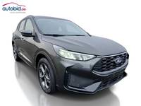 Vaizdas iš priekio dešinės