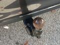 View of trailer tow-bar hitch