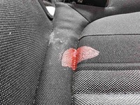 Edasised fotod kerest