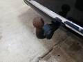 View of trailer tow-bar hitch