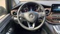 View of steering wheel