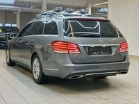 Вид сзади слева