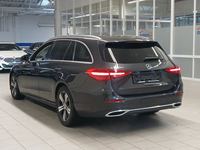 Vista posteriore sinistra