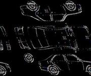 Podrobna fotografija