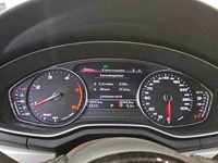 Szczegółowe zdjęcie