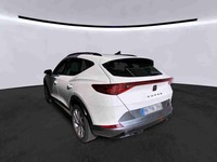 Szczegółowe zdjęcie