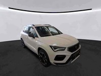 Szczegółowe zdjęcie