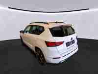 Szczegółowe zdjęcie